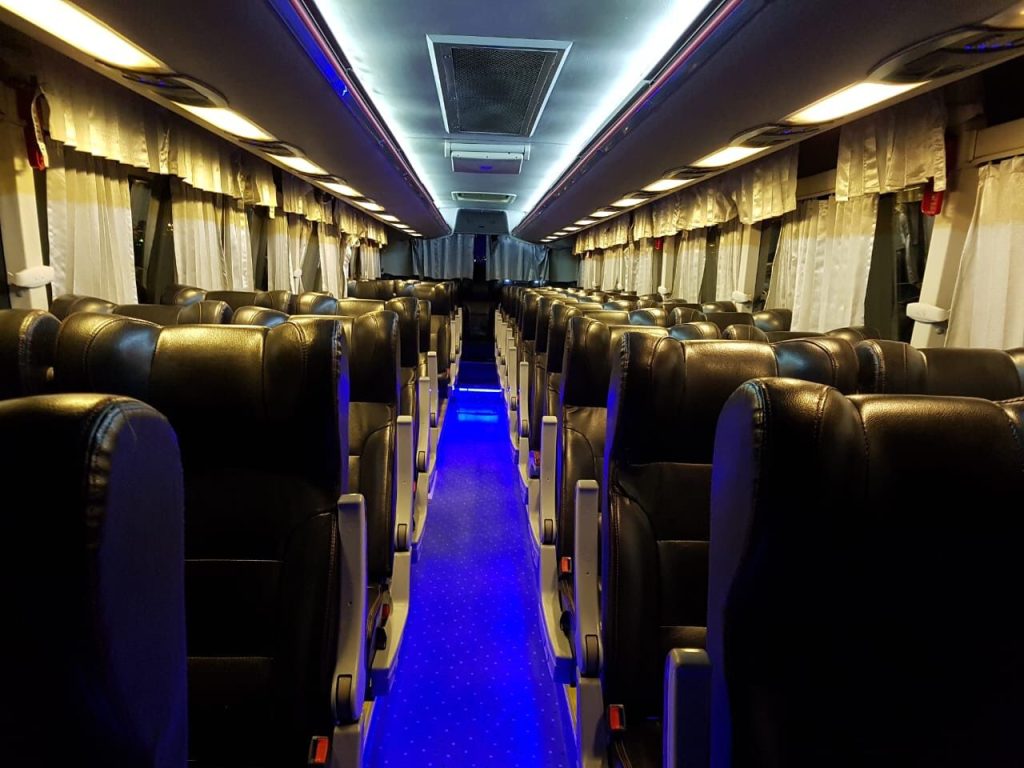 Party Bus Rental